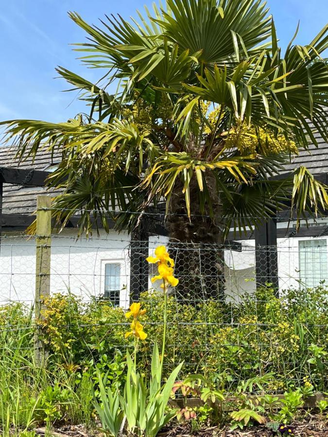 לינה וארוחת בוקר אייר Retreat At The Knowe Auchincruive Estate מראה חיצוני תמונה