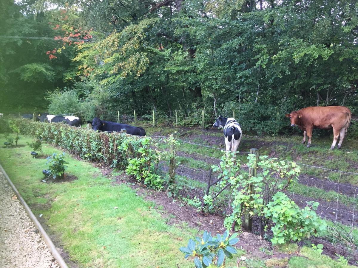 לינה וארוחת בוקר אייר Retreat At The Knowe Auchincruive Estate מראה חיצוני תמונה